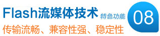 Flash��ý�弼��