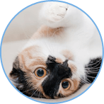 ��������ʦѧԱ����