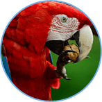 �м����ְ��ѧԱ����