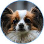 �м����ְ��ѧԱ����