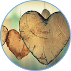 �м����ְ��ѧԱ����