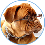 �м����ְ��ѧԱ����