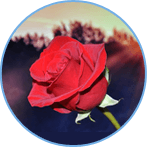 �м����ְ��ѧԱ����