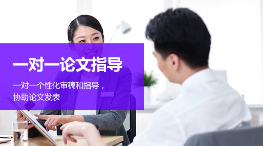 一对一论文指导 一对一论文指导