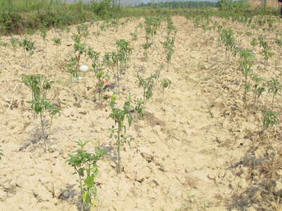 �й������ܺ������3��Ķ