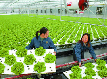 һ�����ƣ�Ӣ�������ϵ�ȼ��˰