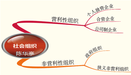 企业的组织形式
