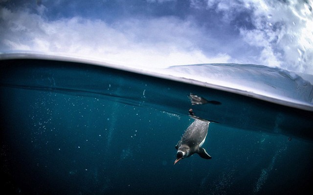 实务热点你问我答之小微企业篇（四）