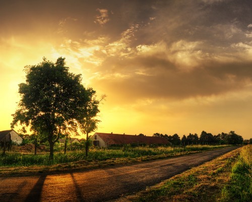 如何拥有超人般的记忆力