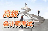 2015高级会计师考试