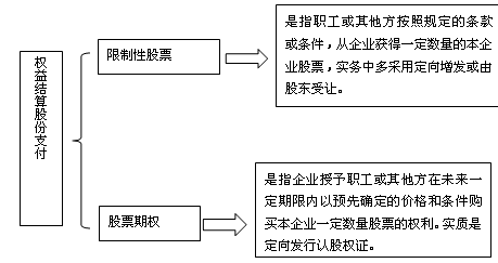 股份支付工具的类型