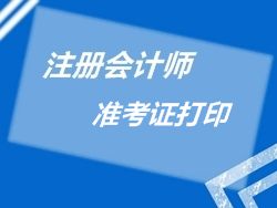 2015年注册会计师准考证打印