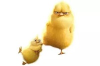 税务师备考中的那些“事儿”