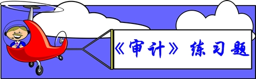 审计练习题