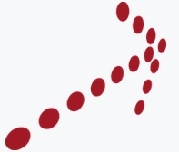 注会考试经验分享