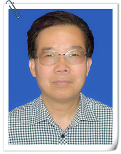 �������ѣ������󣿡�����������ƽ����߽����