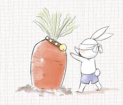 ACCA萌妹子的拼搏历程