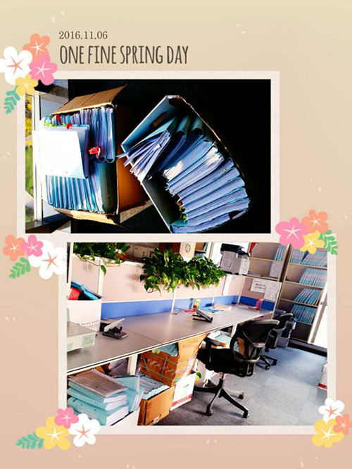 事务所专访:敢拼 敢闯 90后工科美女转行做审计