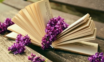 拿下高级会计师后 你的生活有了哪些变化