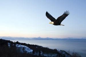 չ��������Լ���Ը���ɣ�