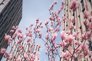 2017年税务师考试可以异地报名吗?