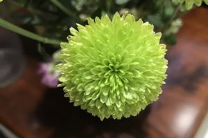 2017年资产评估师备考 给自己一个小目标