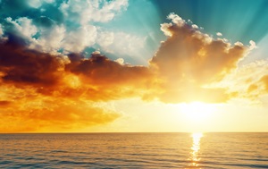 2017年税务师考试报名