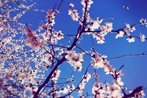 2017年注会报名进入倒计时 别说你还不知道！