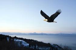 �����м����ְ�ƾ��ú����𣿿��������ܼ����ȥ ֱ���ɹ�