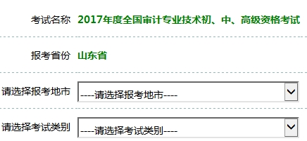 2017年审计师考试报名入口开通