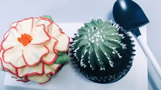 2017年税务师报名入口已经关闭 相约8月1日补报名