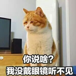 十二星座备考资产评估师 快看你是不是其中之一!