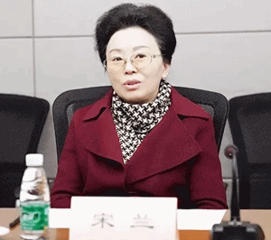 中税协会长宋兰讲话