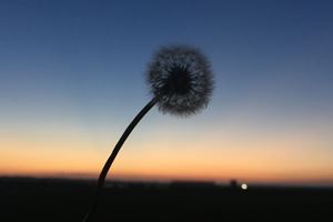 注会综合阶段考试时间