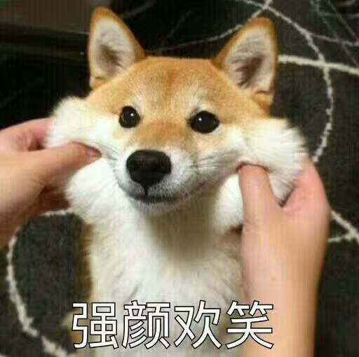 看完一次过六科的注会学霸 去他奶奶的佛系考生