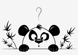 没有参加初级考试 能报名中级会计职称考试吗?