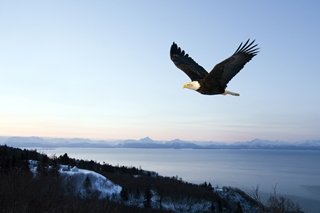 2019年河北注册会计师报名条件是怎样？