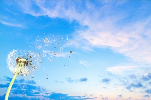 学员分享：中级会计实务长期股权投资听了不止十遍！