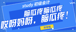 初级会计职称 初级会计职称