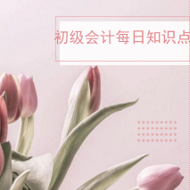 初级会计职称 初级会计职称