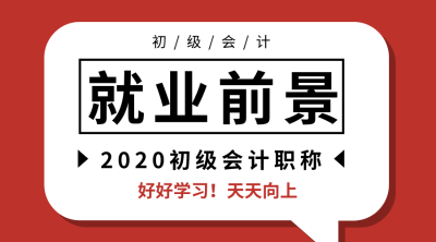 初级会计职称 初级会计职称