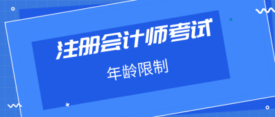 注册会计师