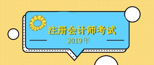 注册会计师考试 注册会计师考试