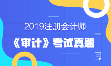 2019年注册会计师考试《审计》试题