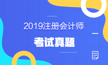 2019年注册会计师试题
