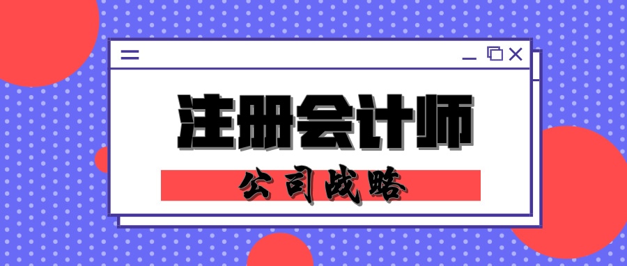 注册会计师公司战略练习题