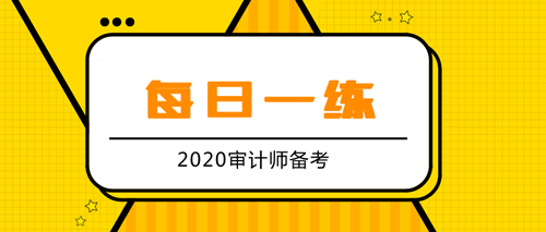 2020审计师备考