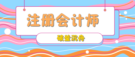 注册会计师 注册会计师