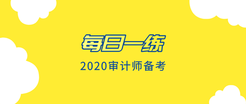 2020审计师每日一练