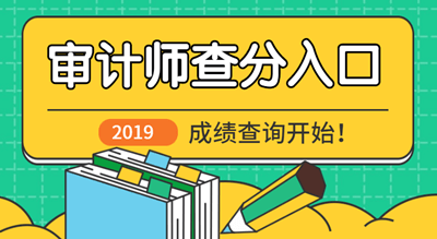 2019初级审计师成绩查询